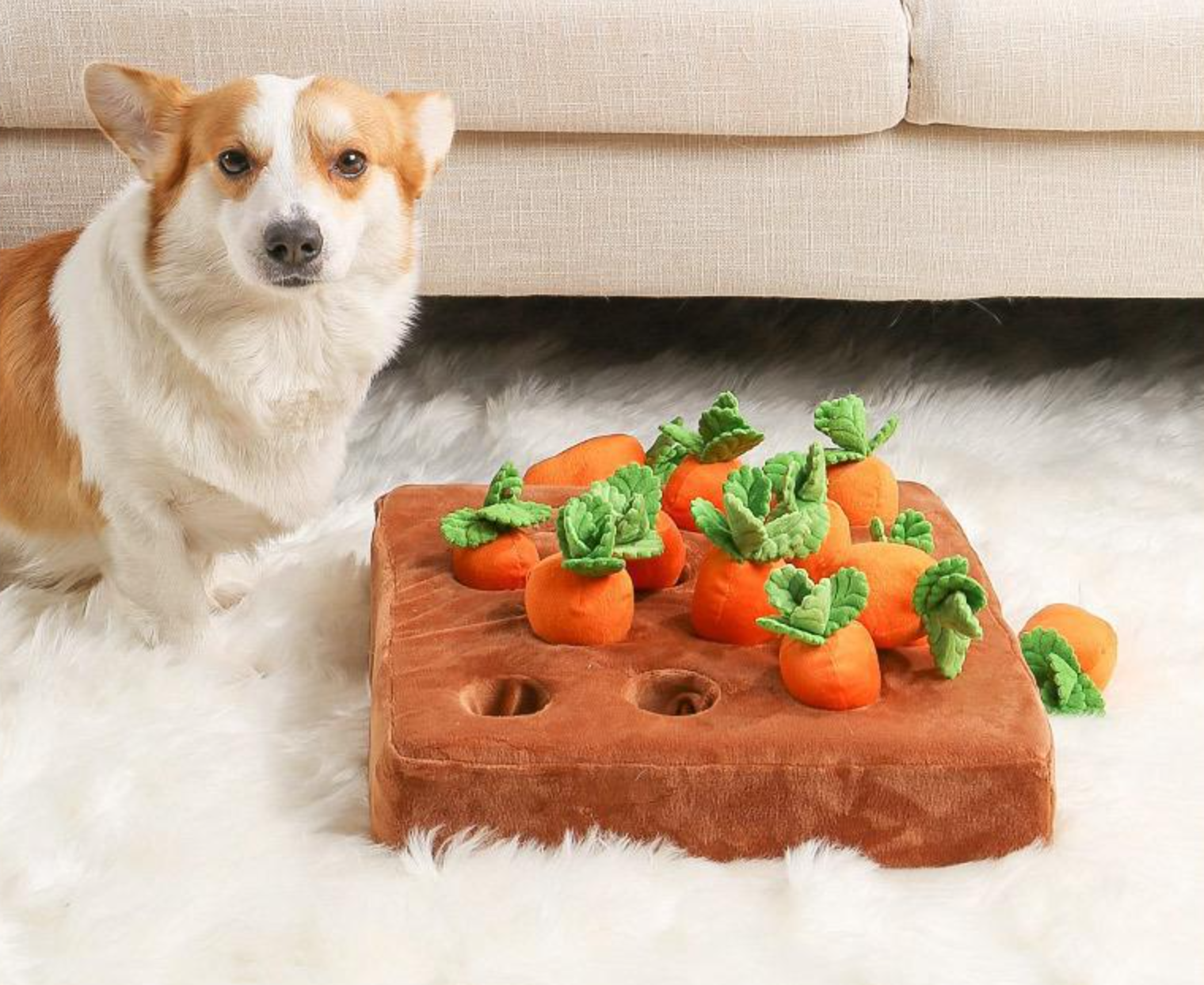 ニンジン農場のおもちゃ