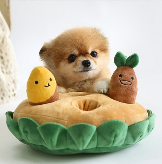 韓国のペットのおもちゃノーズワーク犬のおもちゃスクイーカー付き
